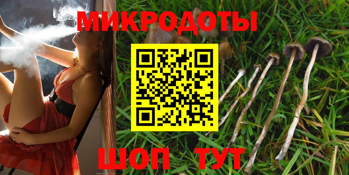 Ликино-Дулёво  Галлюциногенные грибы Cubensis  Галлюциногенные грибы Psilocybine cubensis  Вход с VPN 